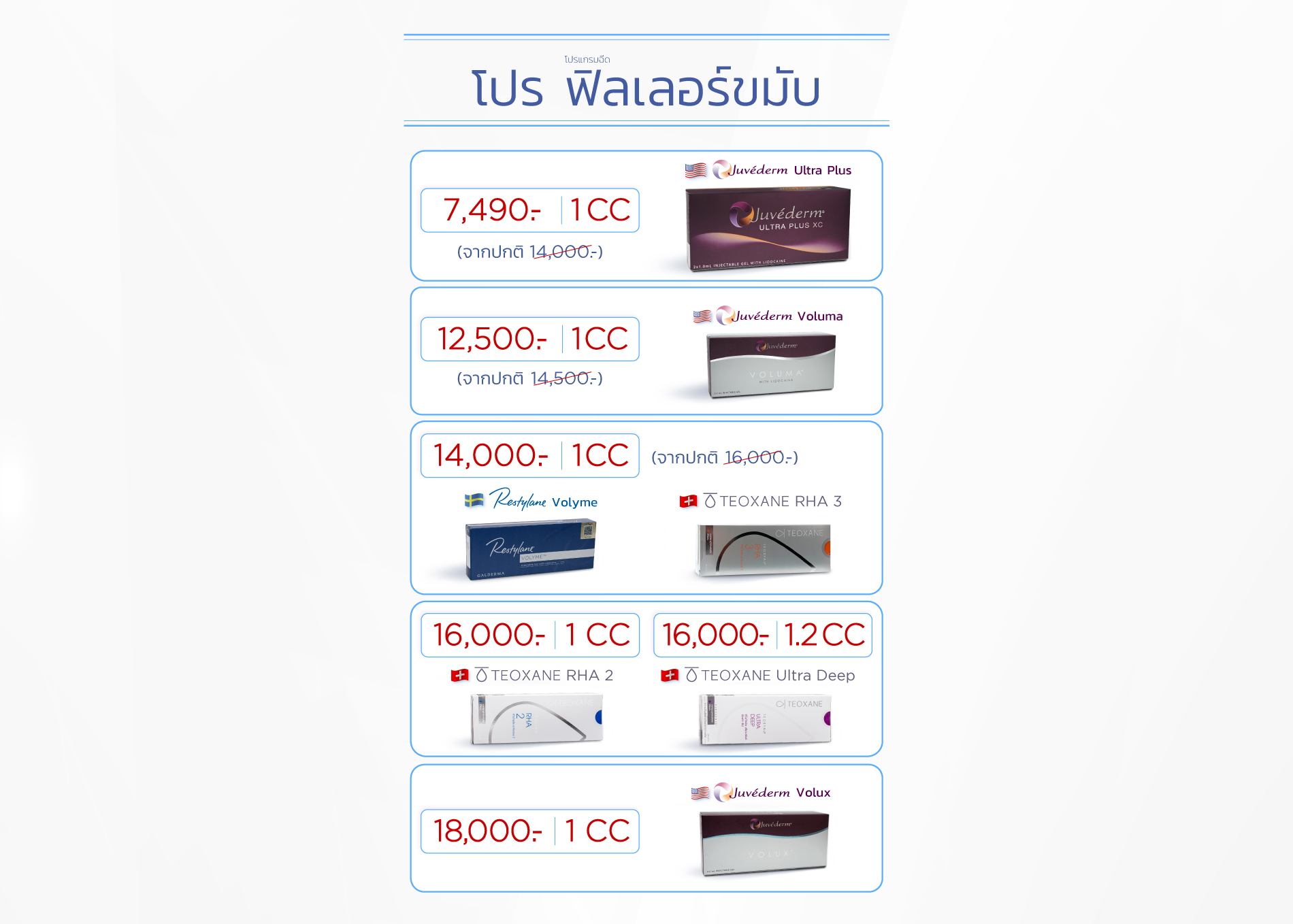 โปรฟิลเลอร์ขมับ