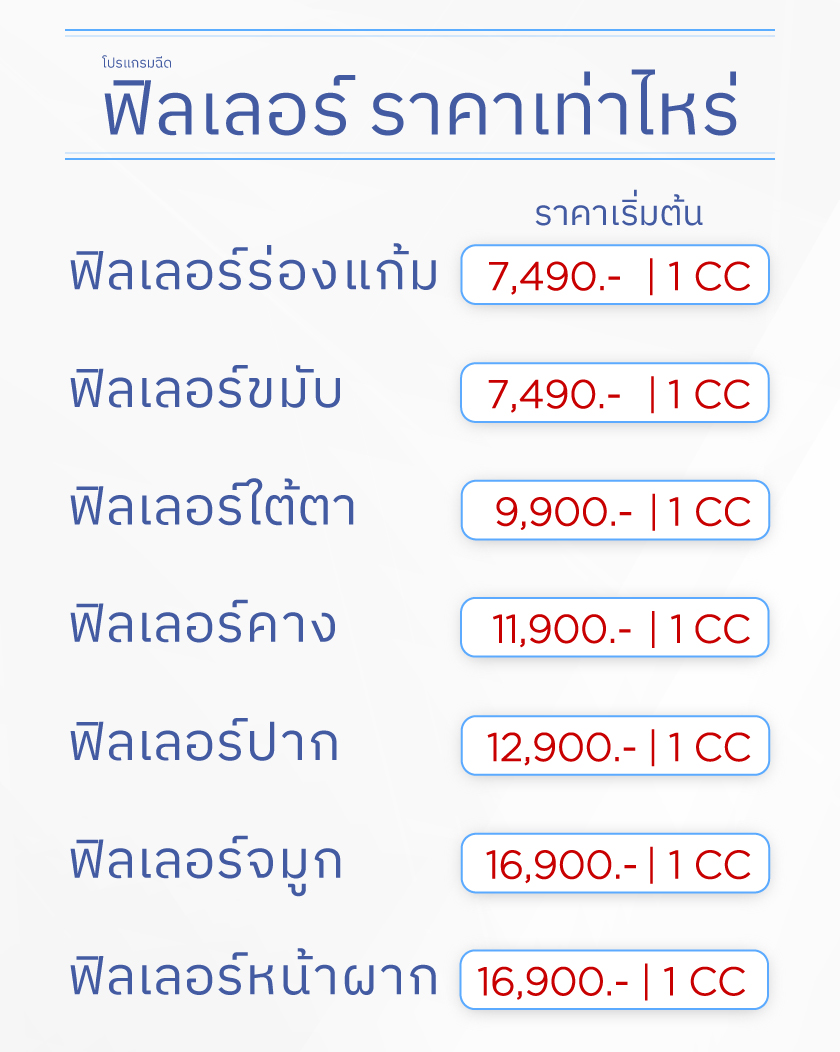 ฟิลเลอร์ราคาเท่าไหร่