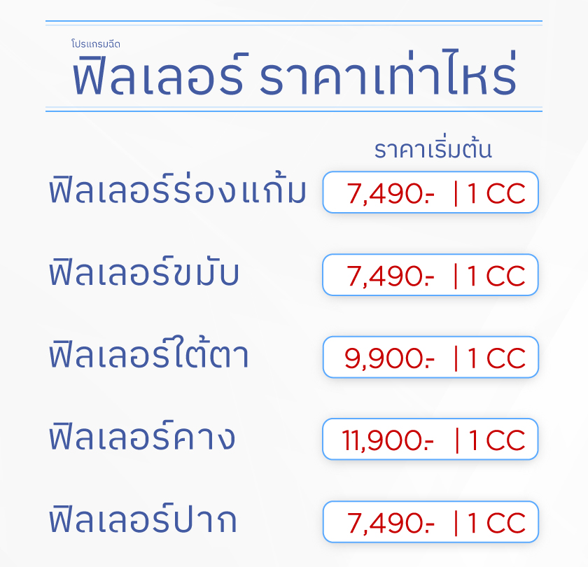 ฟิลเลอร์ราคาเท่าไหร่