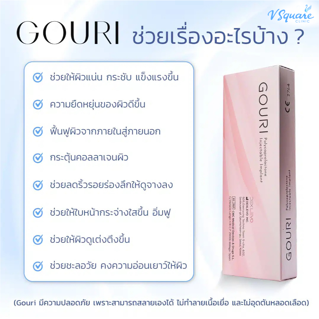 gouri ช่วยเรื่องอะไรบ้าง