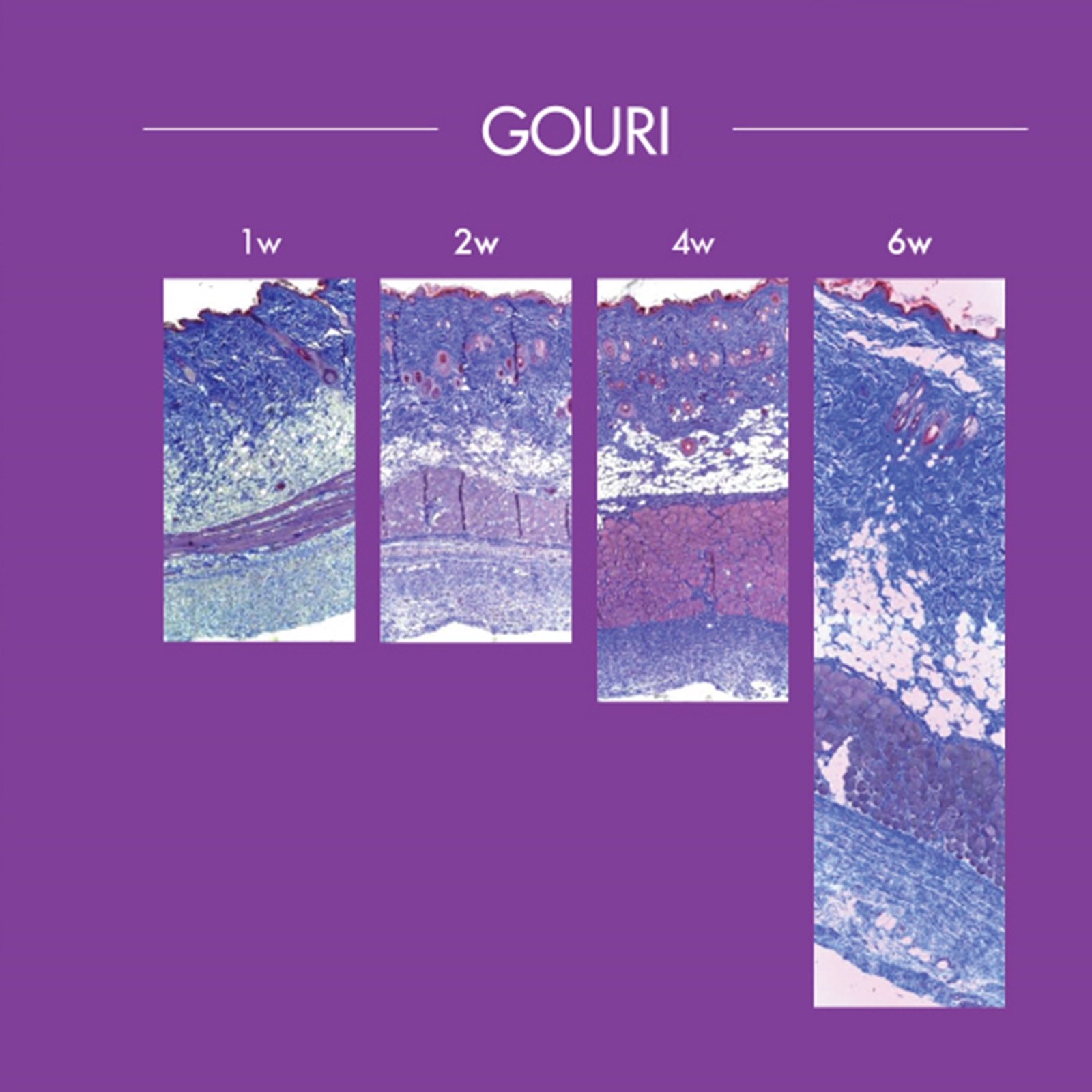 กระบวนการทำงาน Gouri